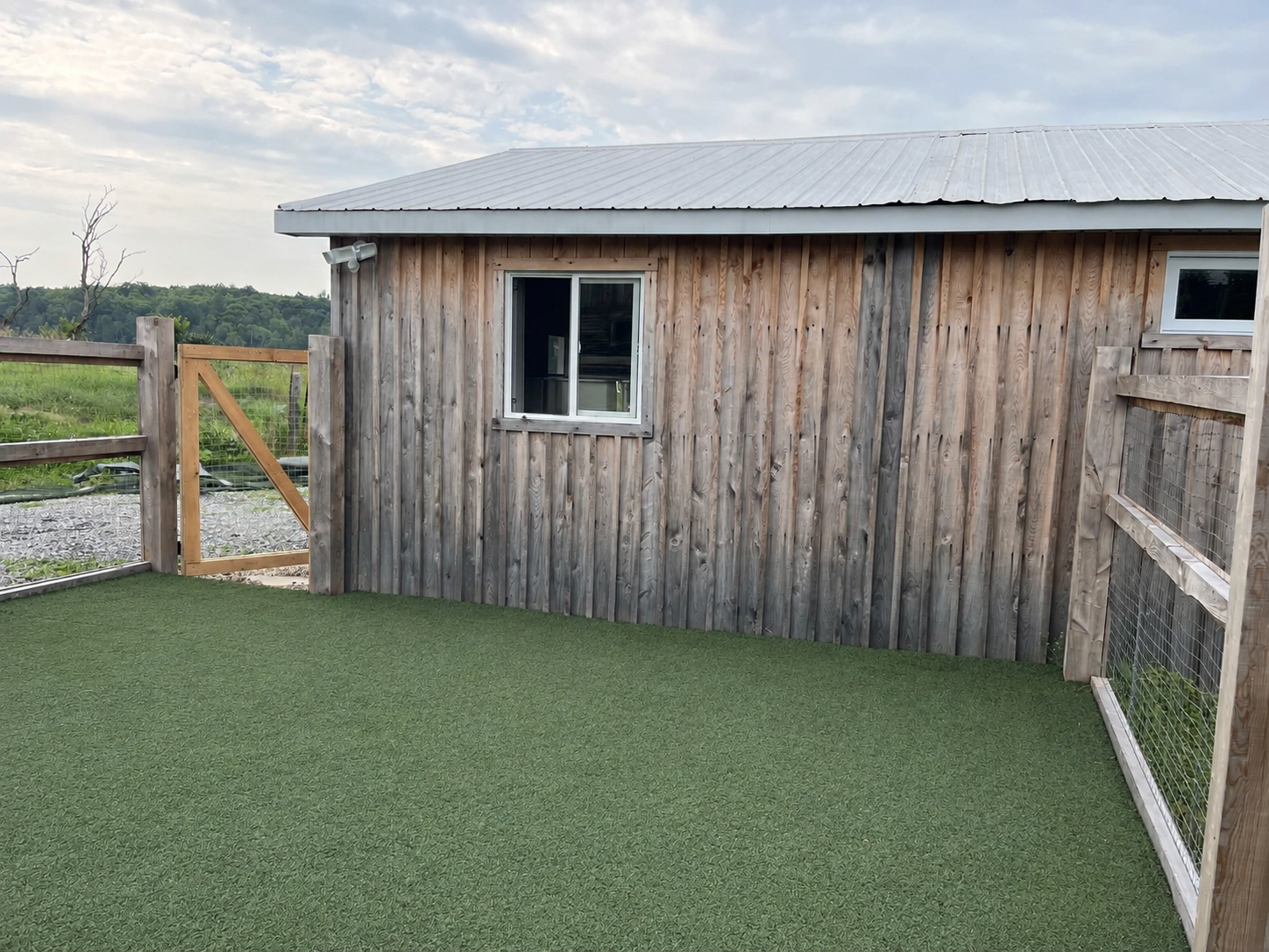 Espace extérieur pour les chiens