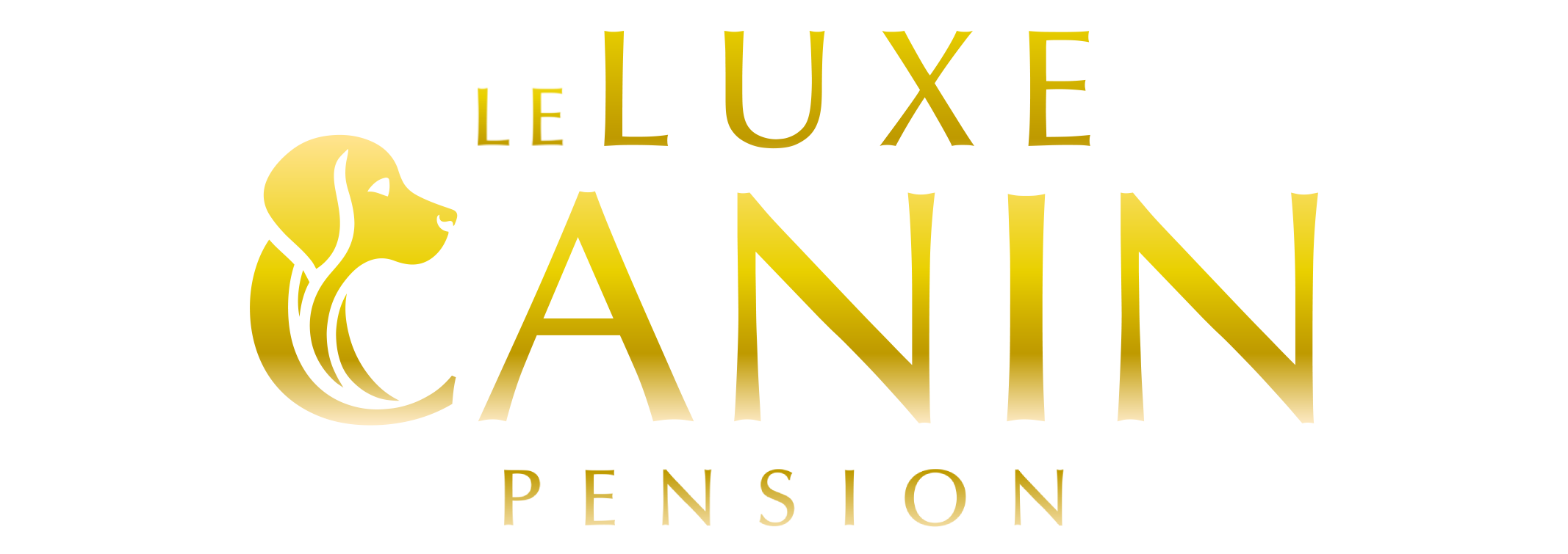 Le luxe canin